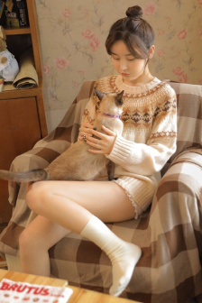 吸血鬼骑士第二季